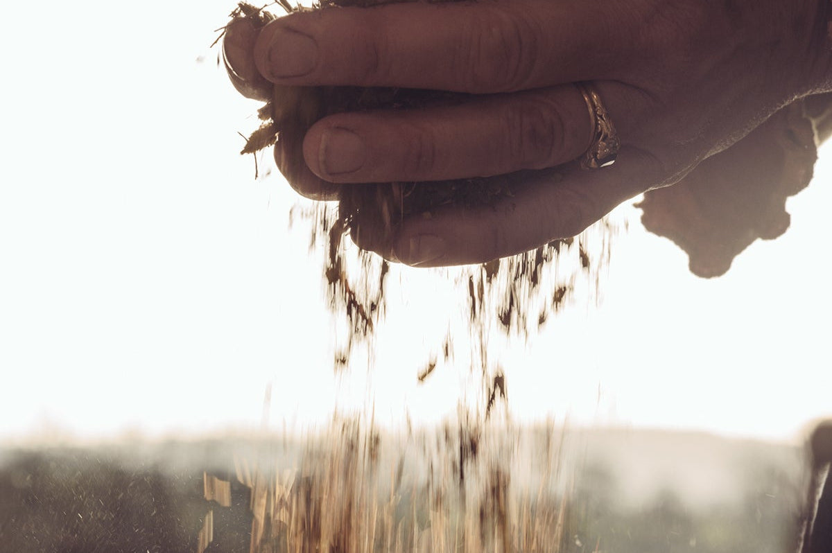 Purify Herbs Three Week Herbal Cleanse product