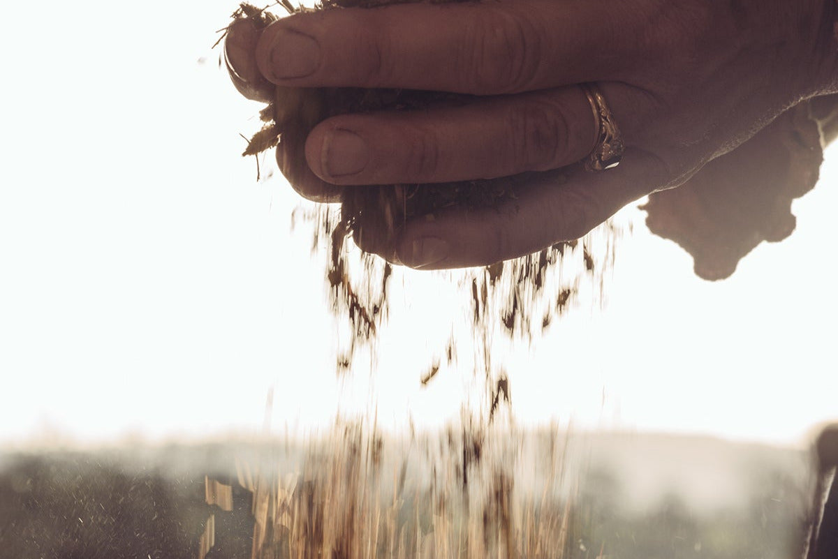 Purify Herbs Three Week Herbal Cleanse product